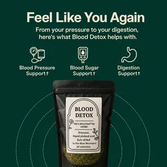 Feel Like You Again: Blood Detox benefits