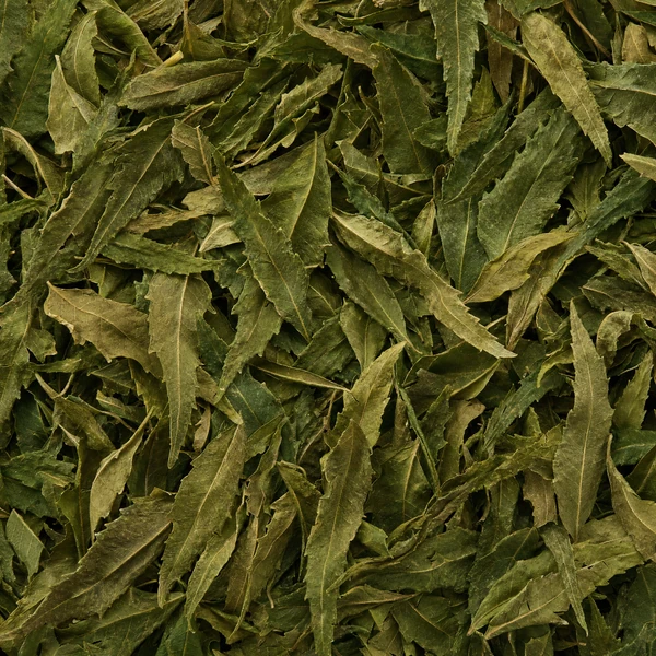 Neem
