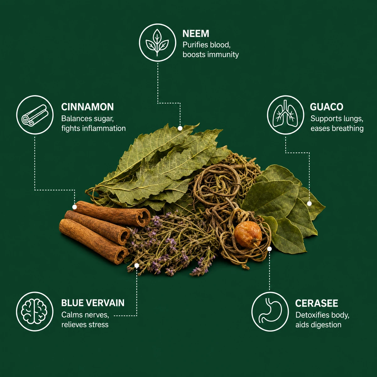 The five wildcrafted herbs in Blood Detox