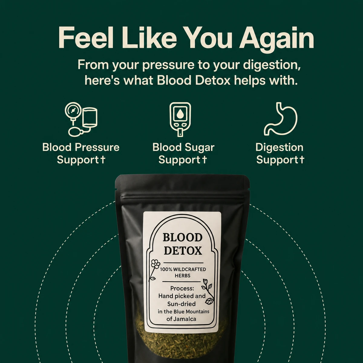Feel Like You Again: Blood Detox benefits