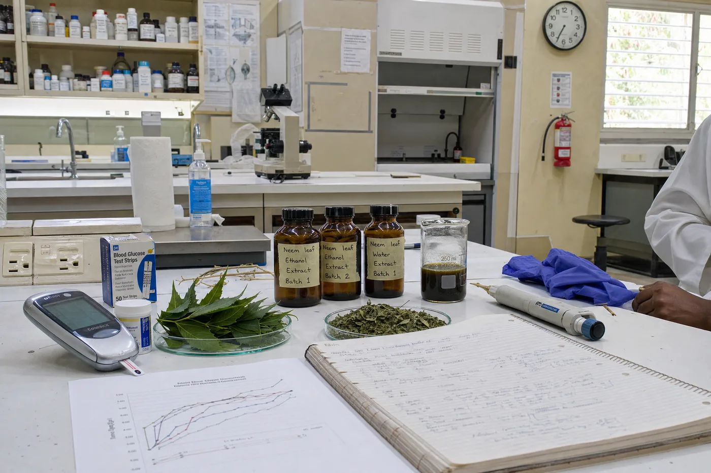 Neem leaves and extract samples on a laboratory research bench