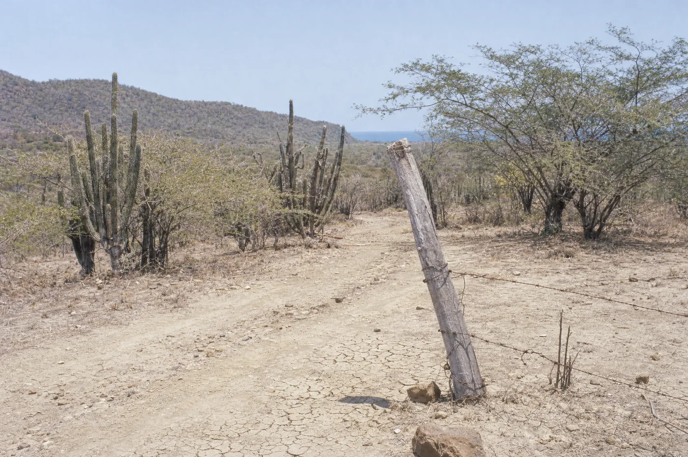 Yallahs desert landscape